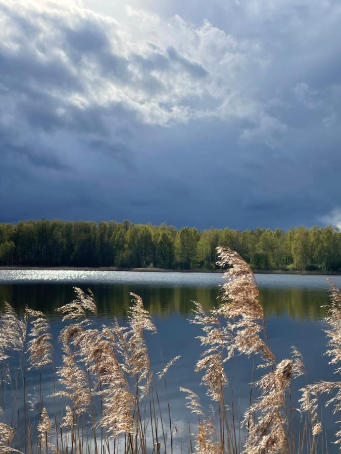 فيلا Ambercoast Jūrkalne المظهر الخارجي الصورة
